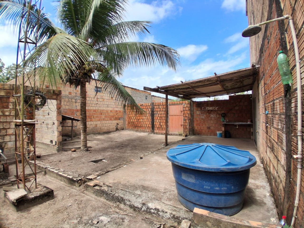 Quintal com coqueiro e área externa